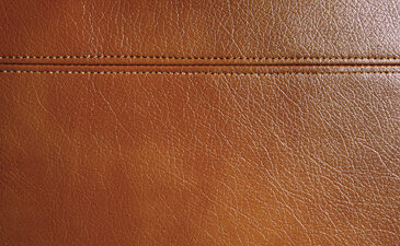 辨別真皮材質